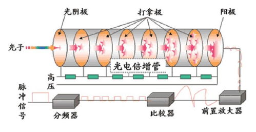 新的rdm系列硅光电倍增管 sipm 阵列